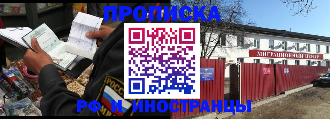 прописка поиск в Кингисеппе